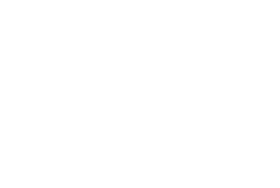 One Voice